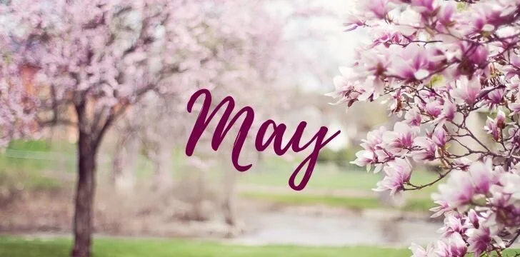 April/May 2021 Market Update 