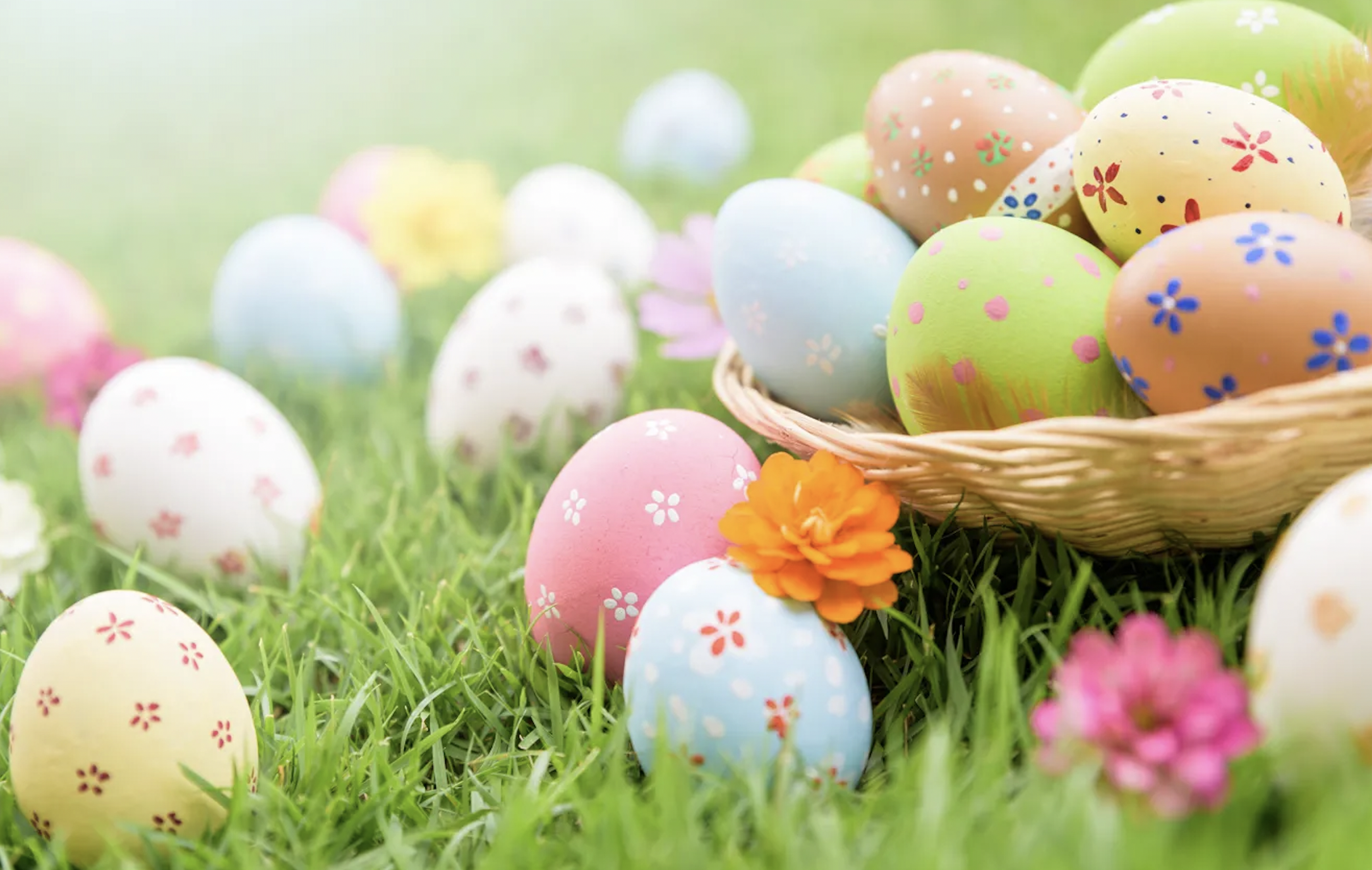 Spring Newsletter