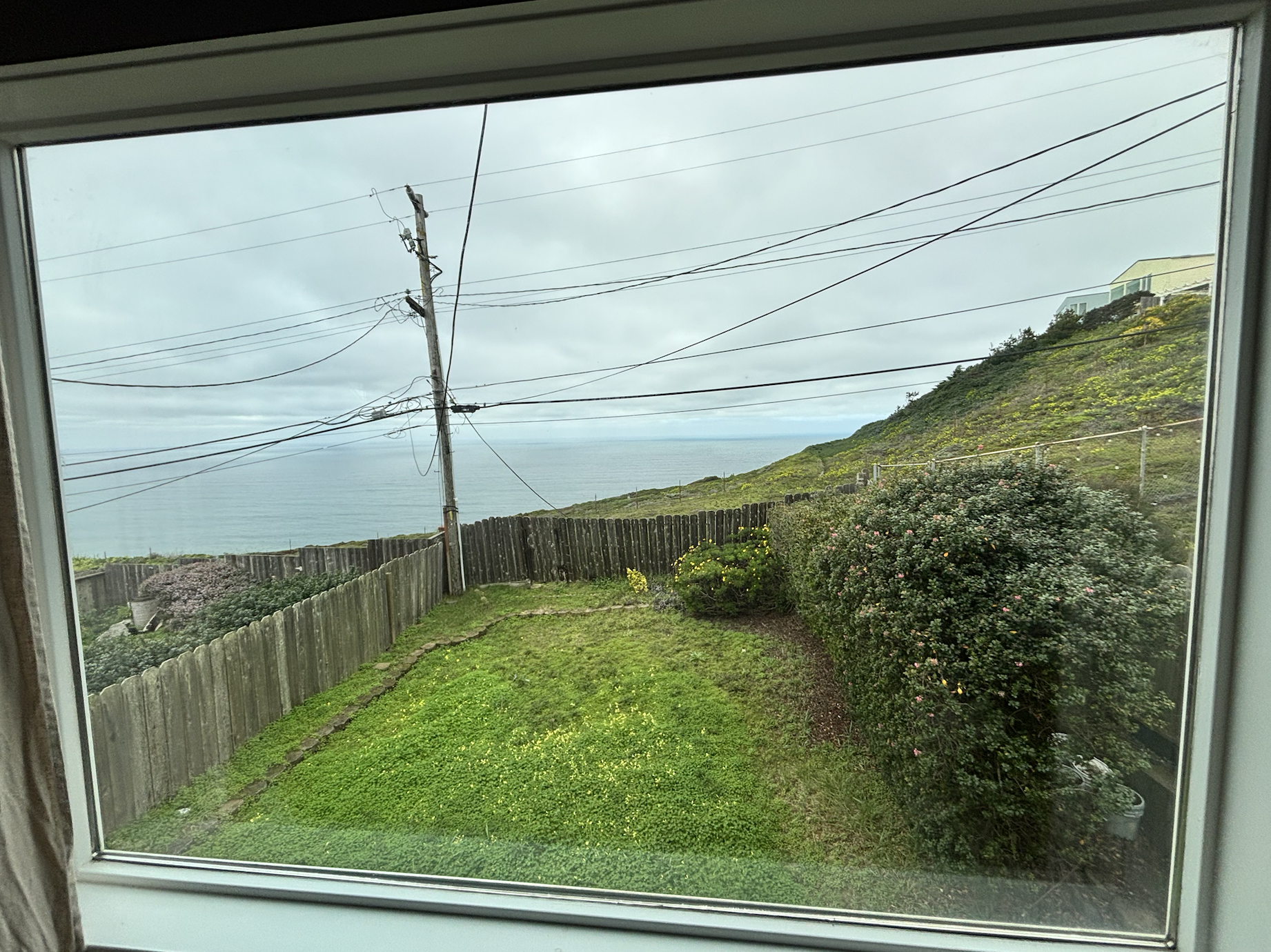 Screen Shot 2026-02-13 at 12.33.01 PM.png