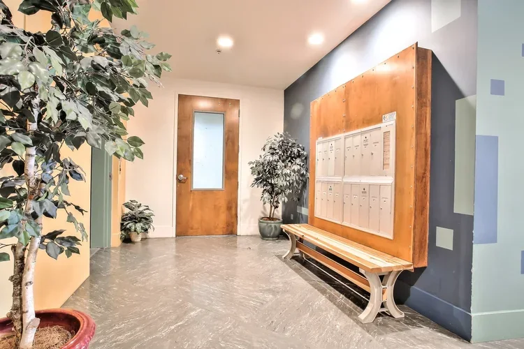 04_f8_49_Zoe_Street_3_082018_004_mls.webp