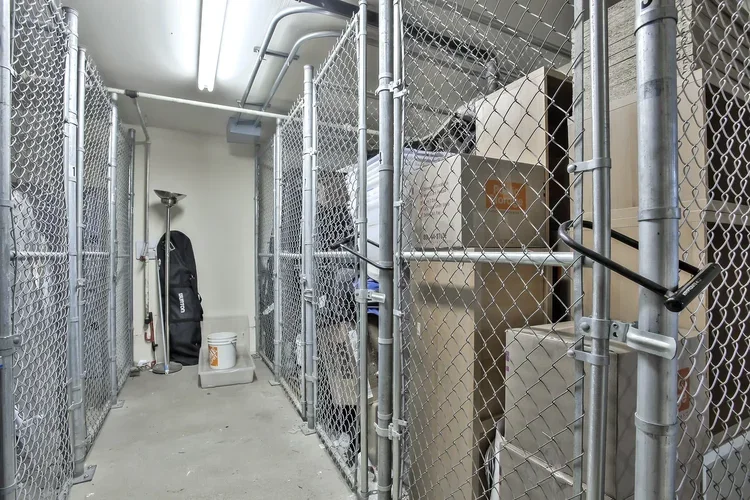 30_f8_49_Zoe_Street_3_082018_030_mls.webp
