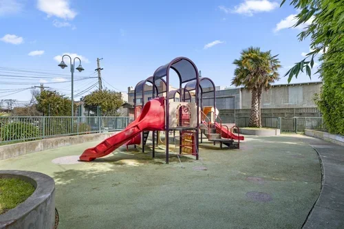DSCF6587.webp