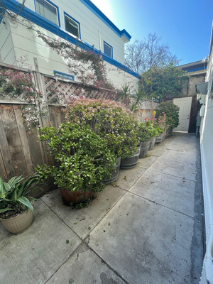 image-12.webp