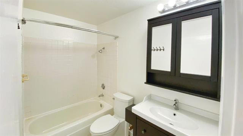 image-5.webp