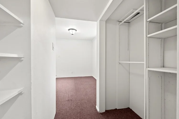 DSCF3598.webp