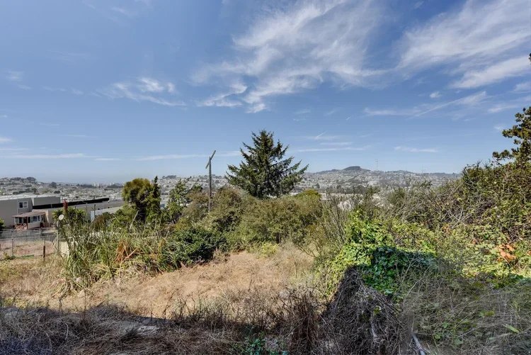 45_228_Frankfort_St_Daly_City20+(1)_mls.webp