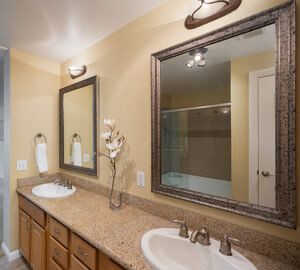 image-5.webp