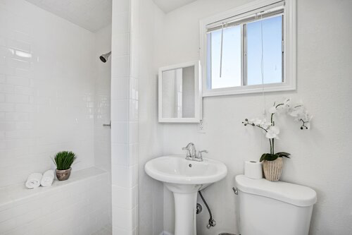 image-4.webp
