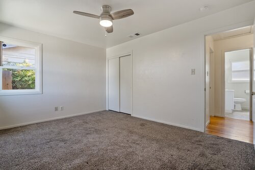 image-5.webp