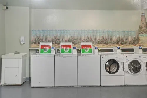 DSCF8298.webp