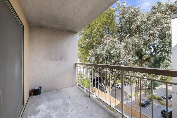 DSCF7432.webp