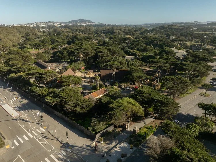 DJI_0516.webp