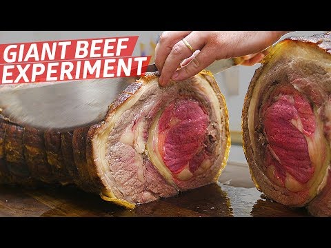 "This Is the Most Expensive Meat Experiment We've Ever Done" - Prime Time