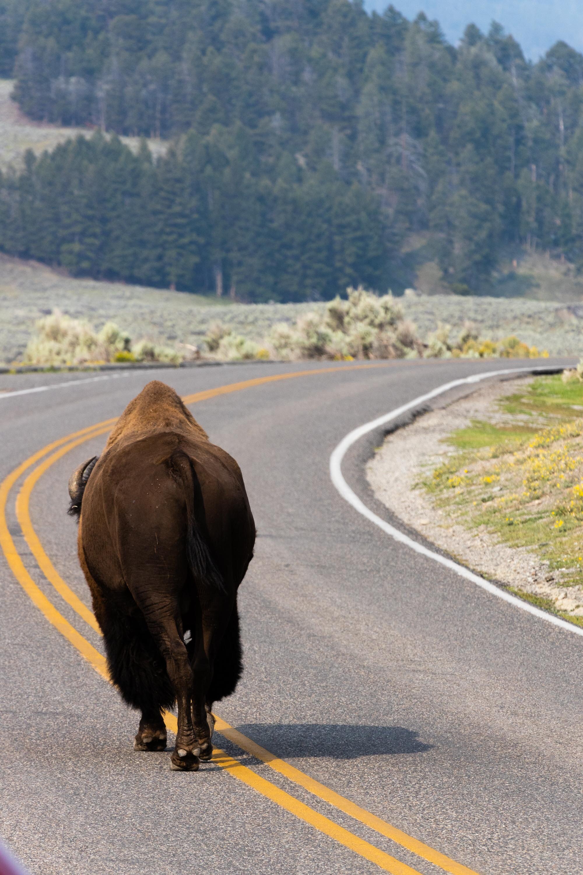 roadtripsmall-97.jpg