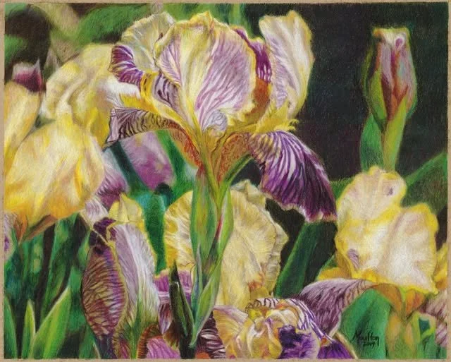 Purple & Yellow Irises.jpg