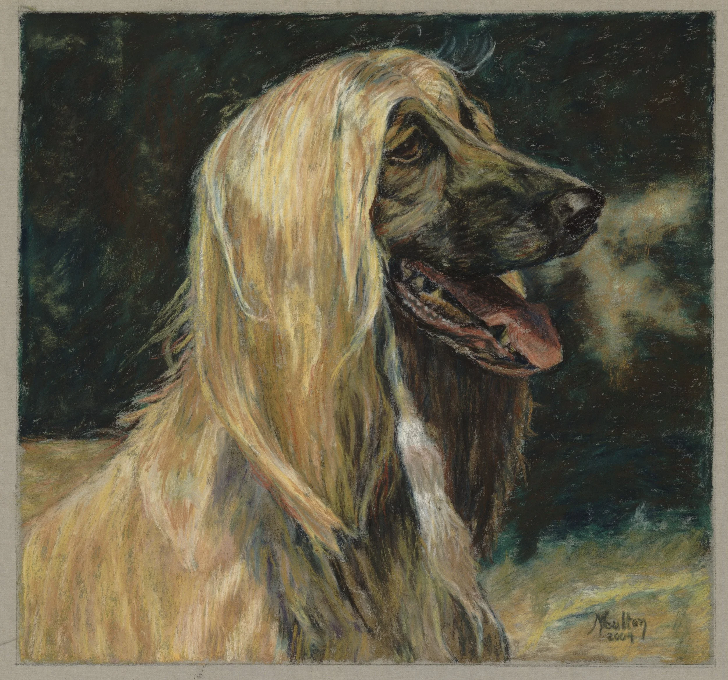 Afghan Hound - Pastel