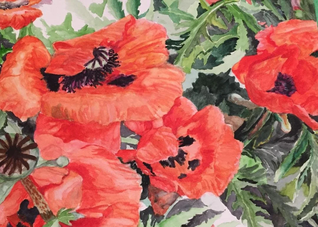 Such Poppies!.jpg