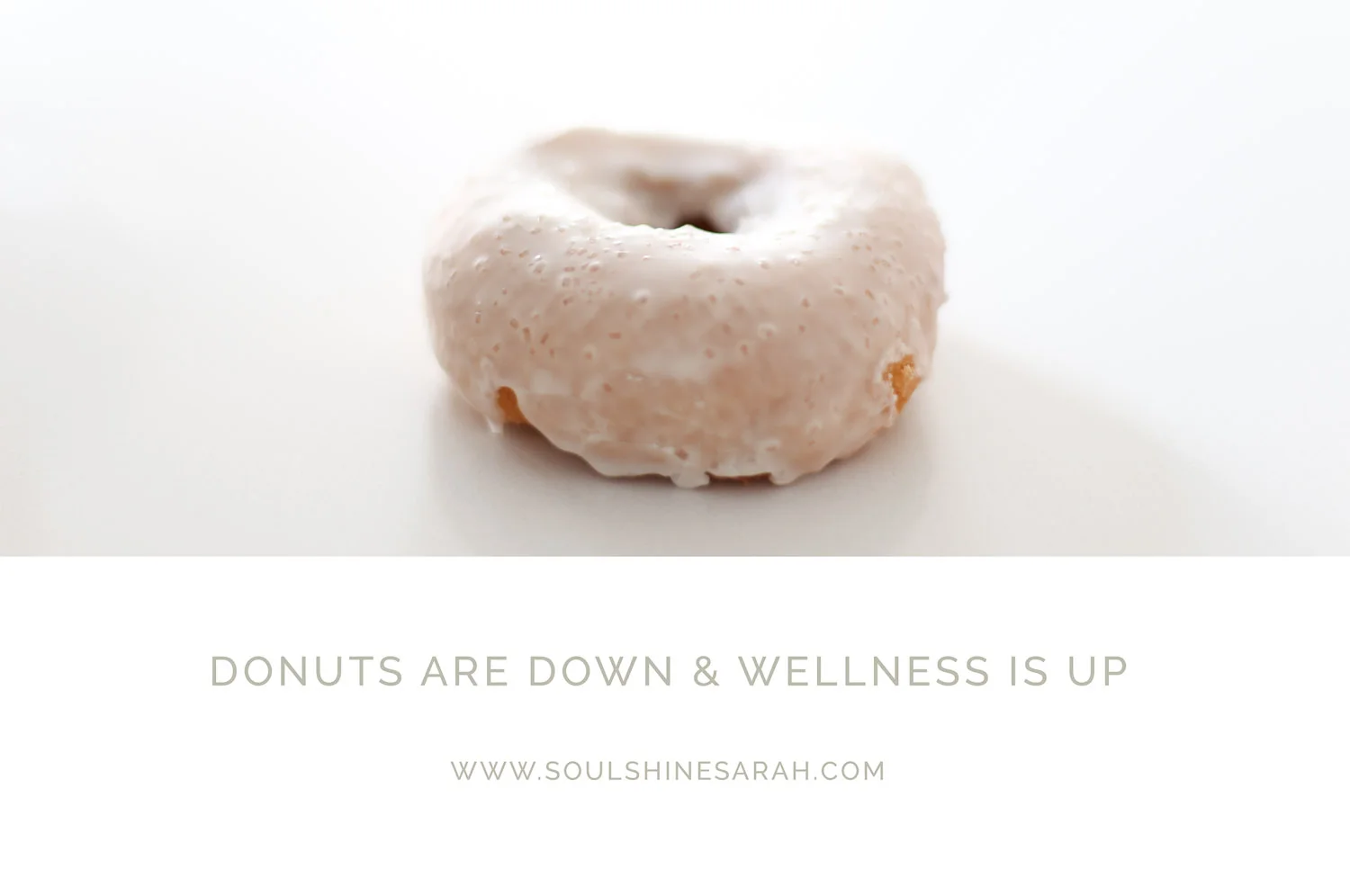 DONUT WEB IMAGE 2.jpg