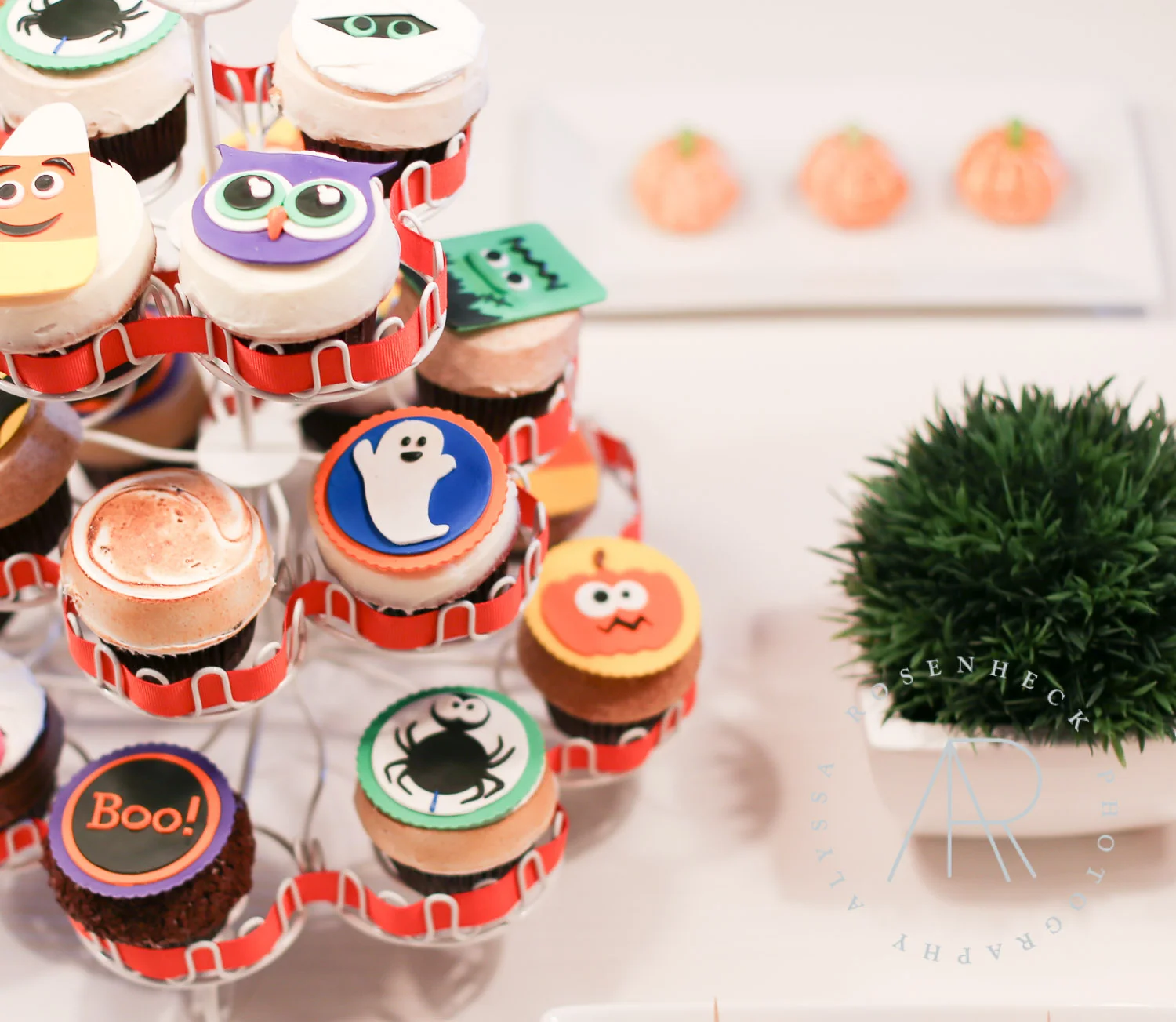 AR Photography Dallas Halloween-37.jpg