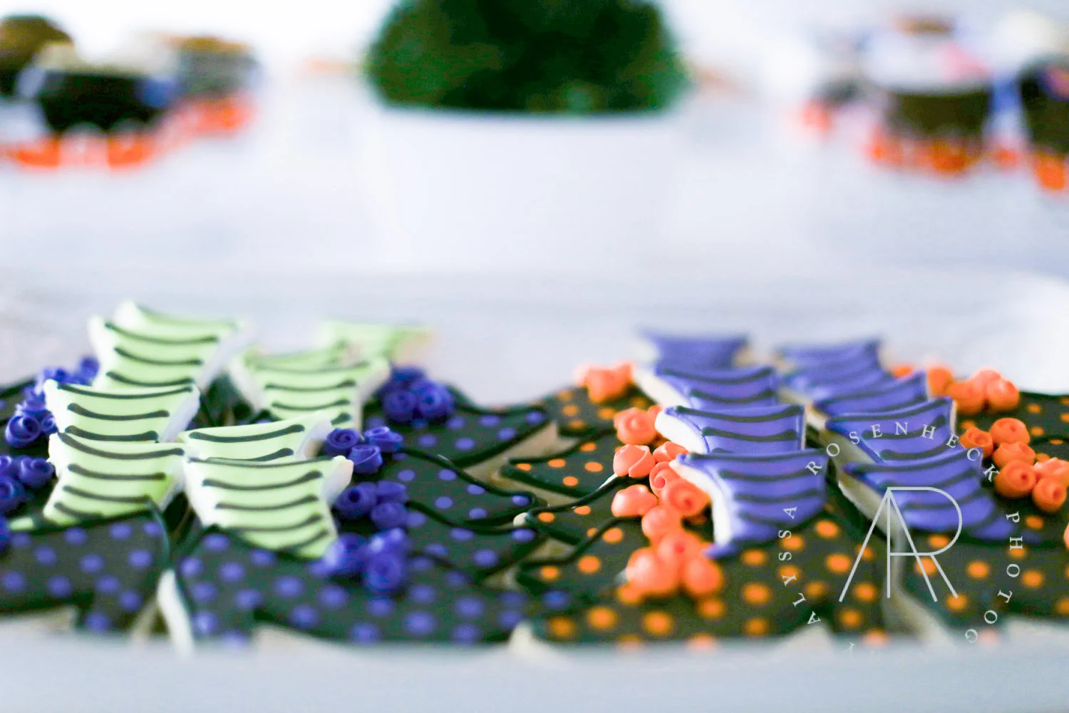 AR Photography Dallas Halloween-12.jpg