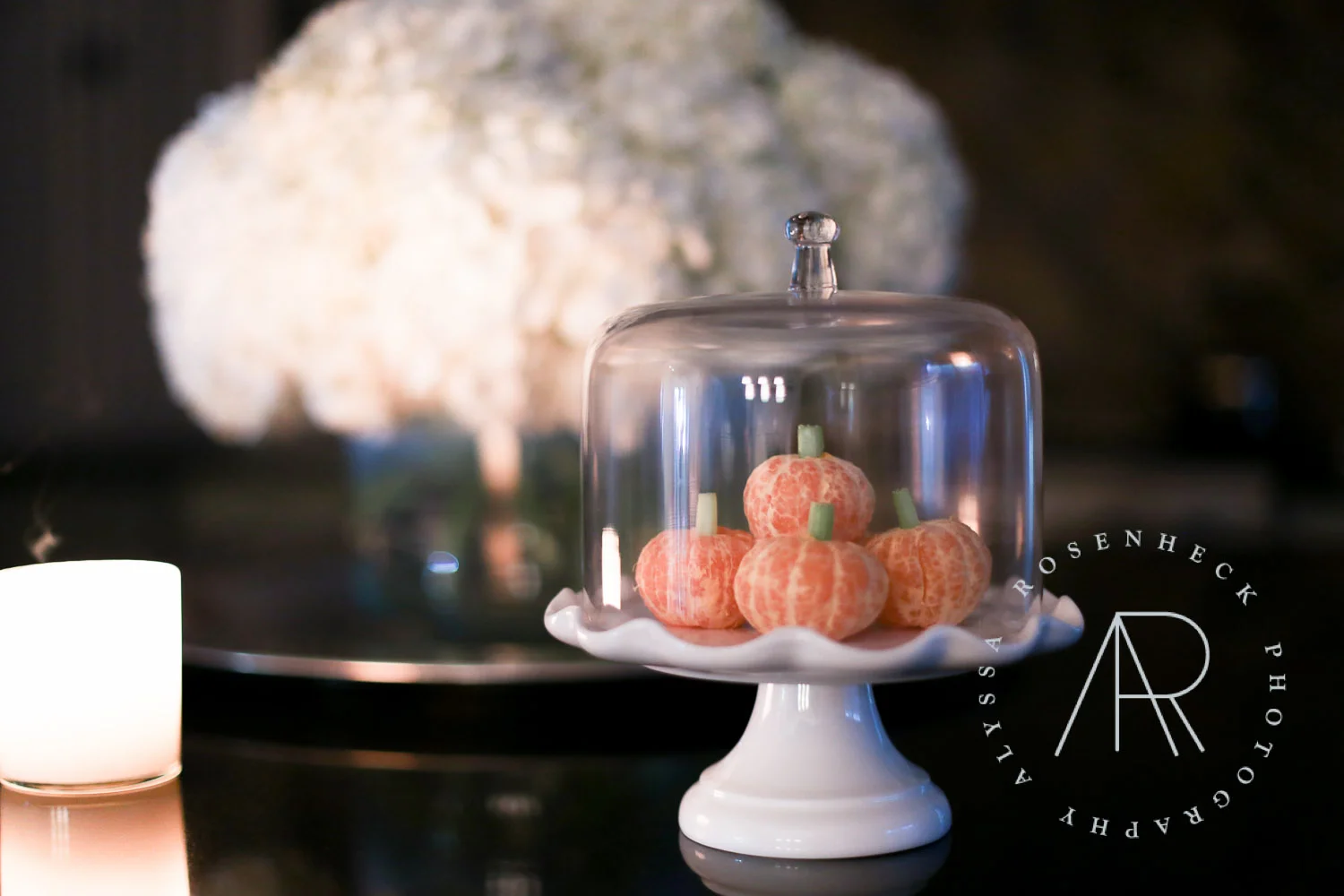 AR Photography Dallas Halloween-32.jpg