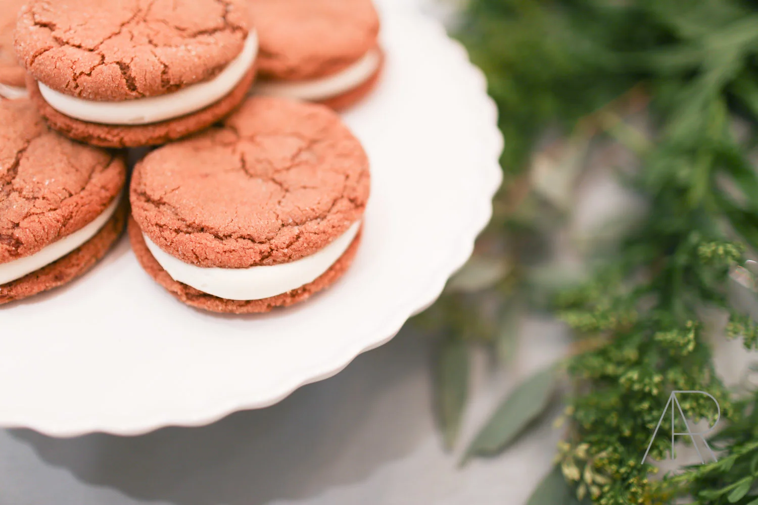 AR Photography-20.jpg