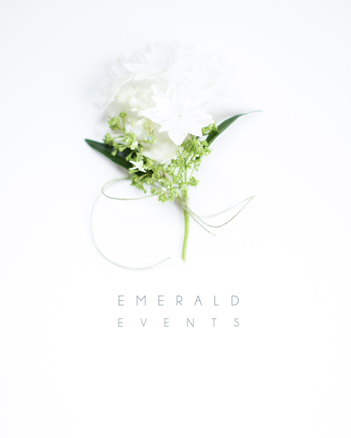 emerald events-11.jpg
