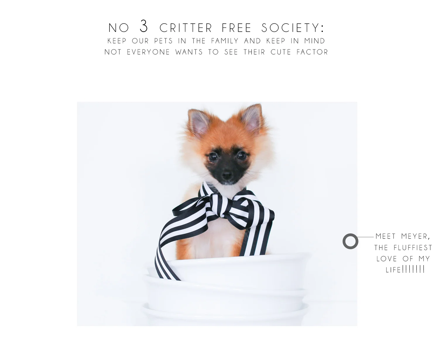 Nashville Photographer Home Selling Alyssa Rosenheck Photography