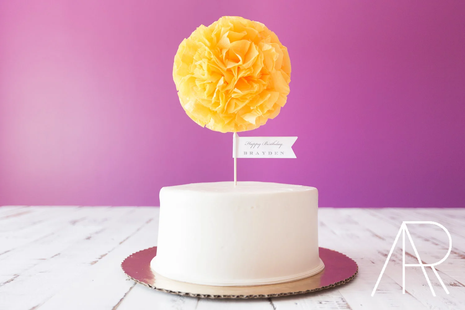 Nashville Chicago Family Lifestyle Photographer Alyssa Rosenheck Photography