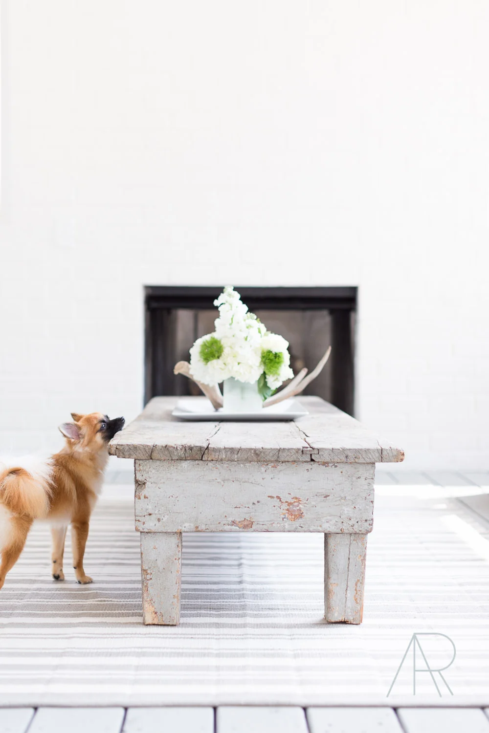 Nashville Chicago Family Lifestyle Photographer Alyssa Rosenheck Photography