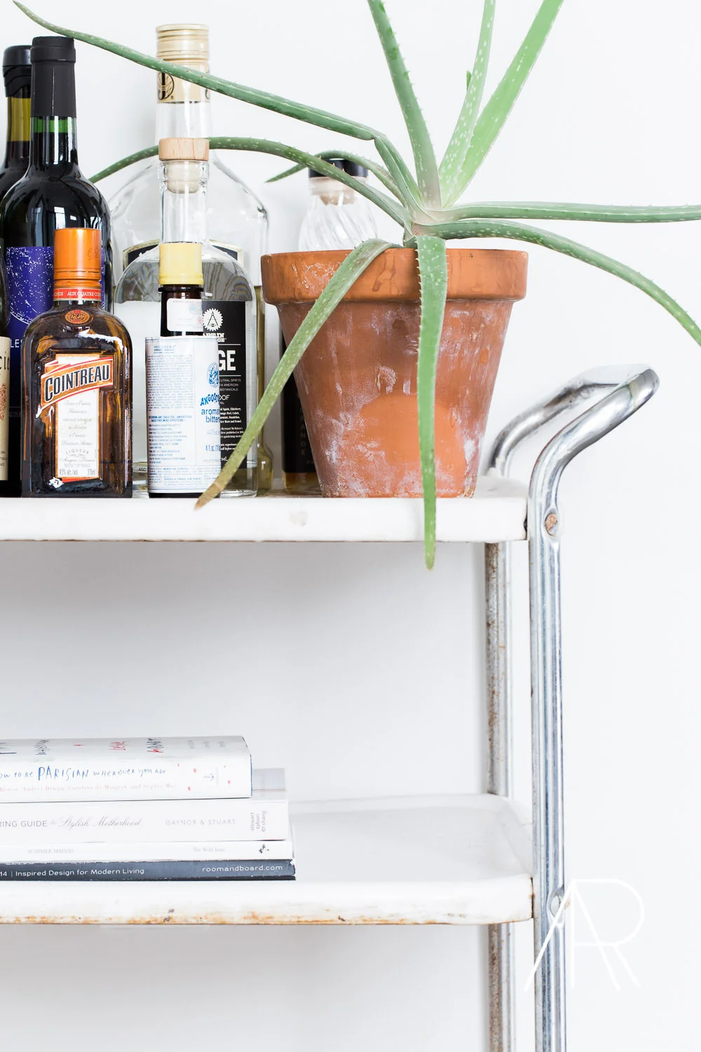 ©ALyssaRosenheck2015 Nashville Lifestyle Photographer Alyssa Rosenheck Photography