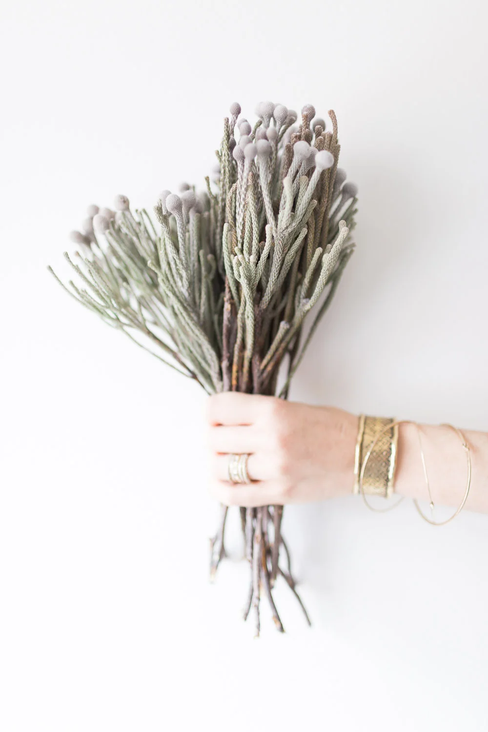 ©AlyssaRosenheck2015  