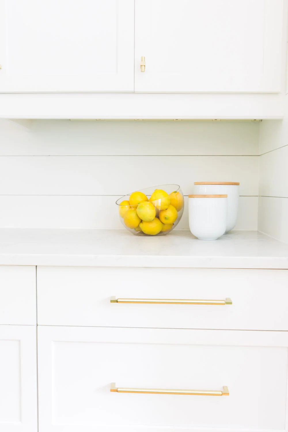 ©AlyssaRosenheck2015 with Lori Paranjape 