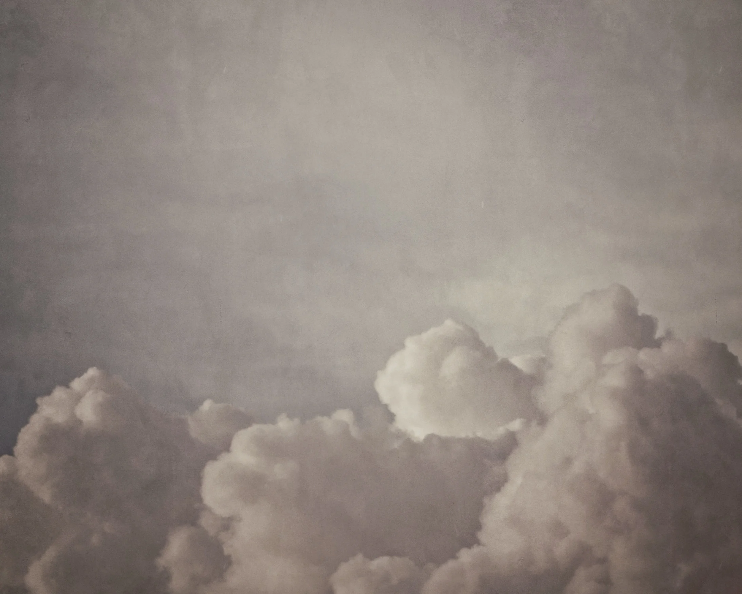 Alyssa Rosenheck's The New Southern Artist Spotlight with Catherine Erb, Fine-Art Photographer of Memphis, TN