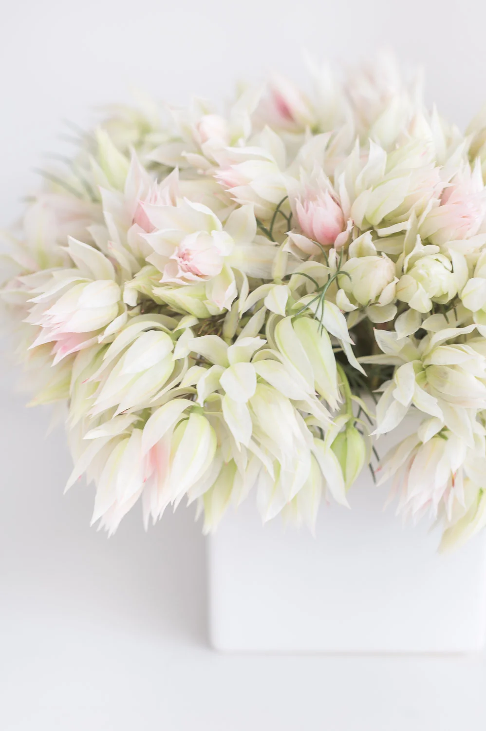 Ownership: ©AlyssaRosenheck Design: Taylor Anne Interiors 