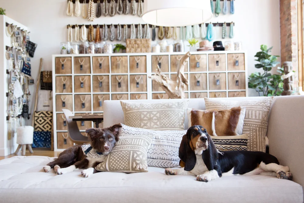 Photo: ©Ariana Clare