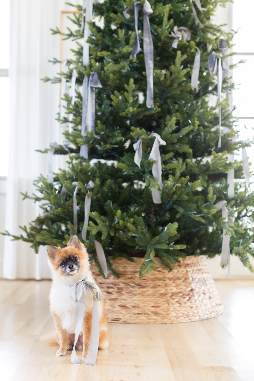 Alyssa Rosenheck's The New Southern Making the Holidays Your Own. Christmas Tree Decorations, Holiday Decor, 2018, Nashville, TN ©AlyssaRosenheck