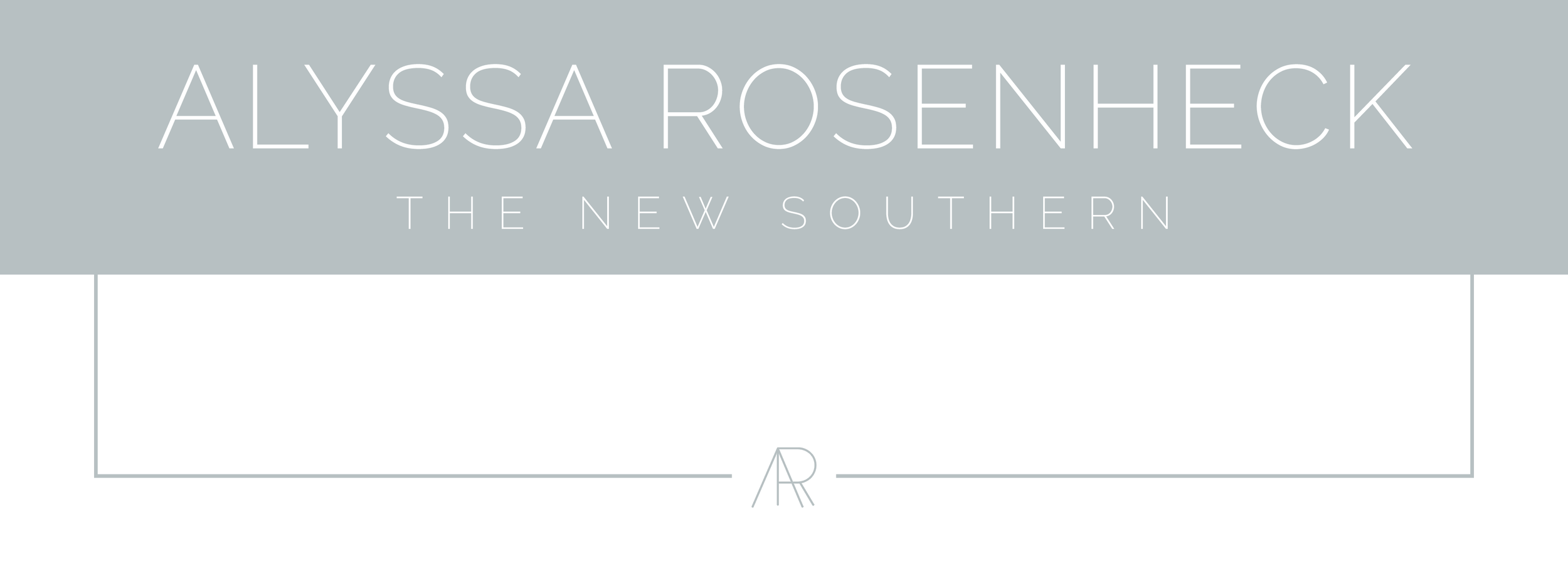 Alyssa Rosenheck The New Southern Style How To Launch A Book in a Pandemic Mini Documentary Video