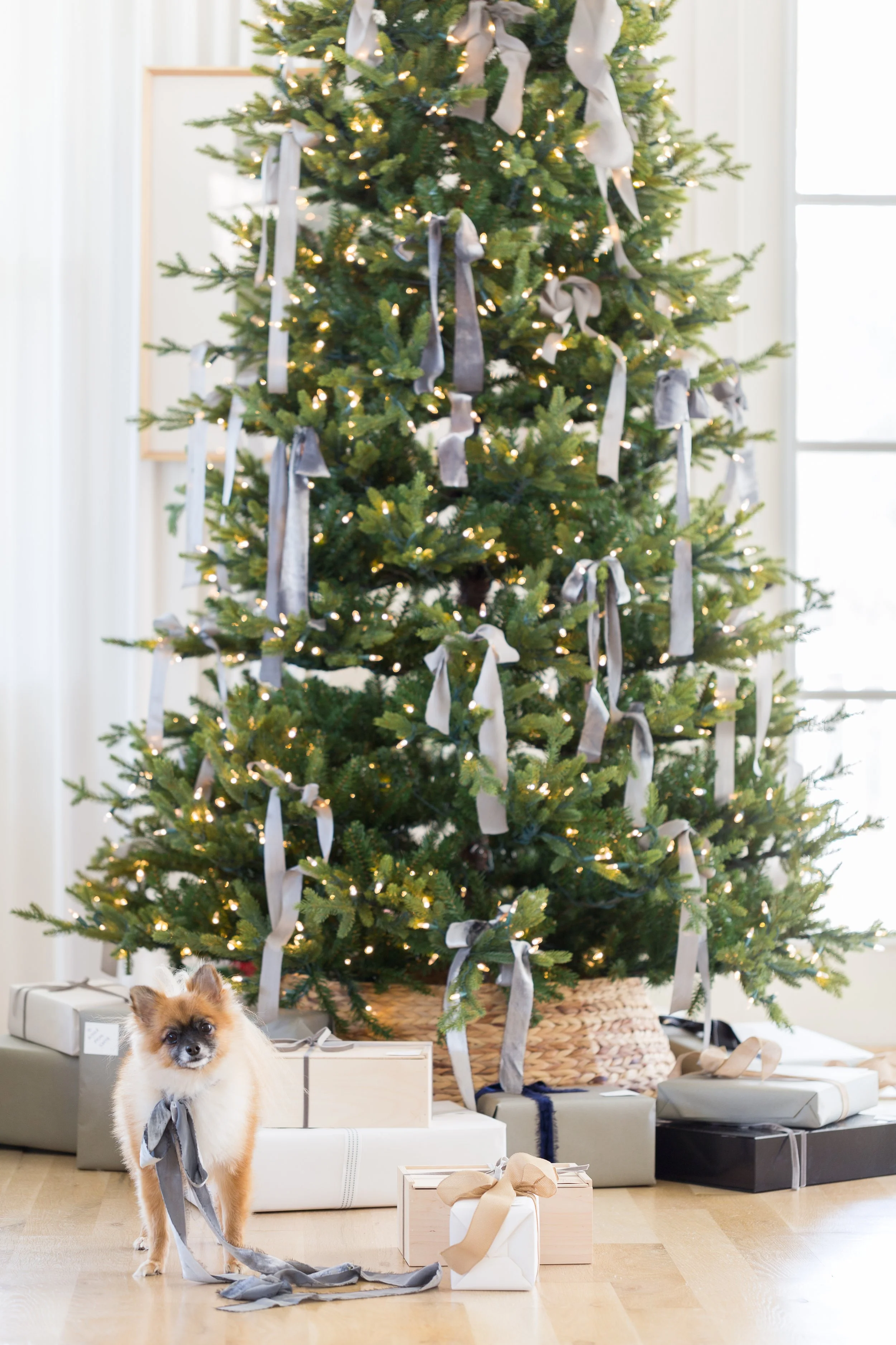 ©AlyssaRosenheck Ribbons on Christmas Tree Holiday Styling by Alyssa Rosenheck
