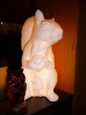 image1.jpg