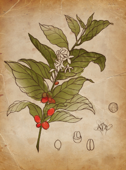 Screen shot 2012-05-05 at 12.29.11 AM.jpg