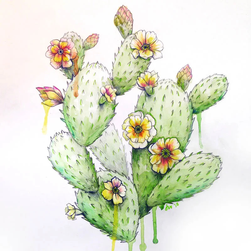 cacti web.jpg