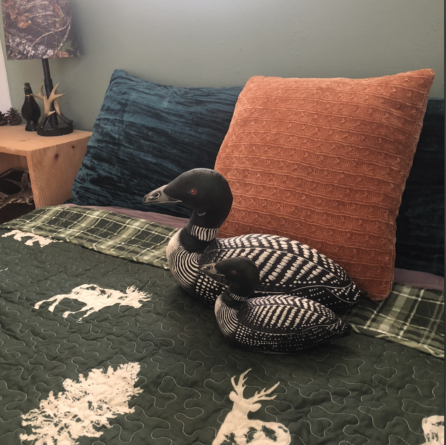 loon pillows.png