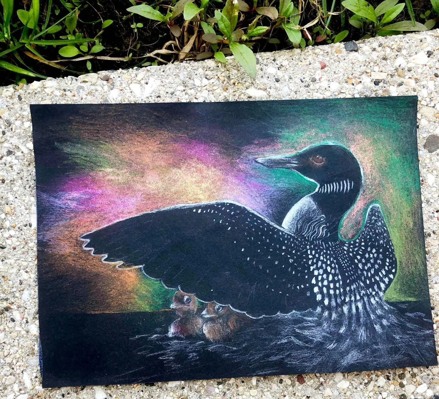 Here is a loon mama on black Stonehenge paper and colored pencil,,
You know, loons aren&rsquo;t technically ducks? They&rsquo;re still considered waterfowl though 🤔🦆
-
#illustrations #art #drawing #artstagram