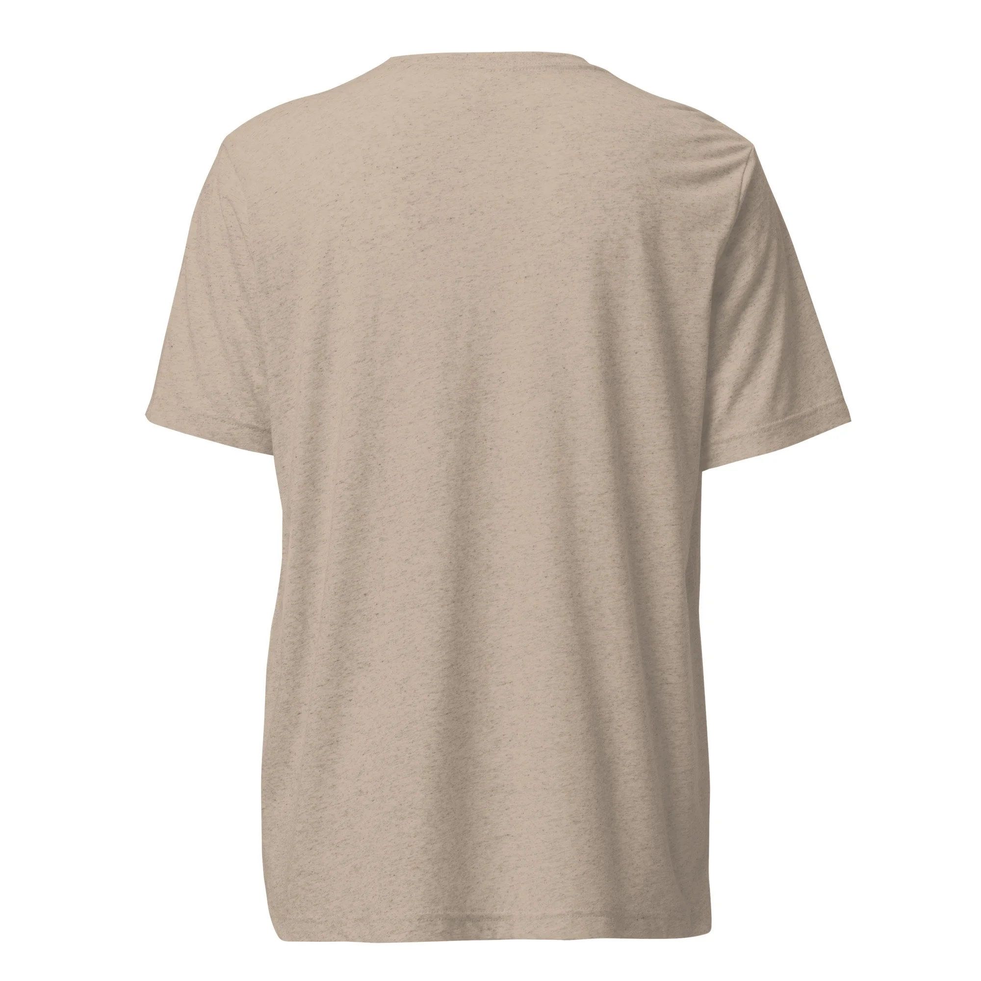 unisex-tri-blend-t-shirt-tan-triblend-back-69c7f8fd91038.jpg