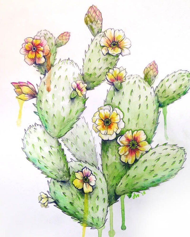 Revisiting my cactus drawing I made a while back!
-
#drawing #art #artist #cactus #milwaukeeartist