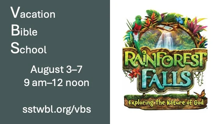 vbs.jpg