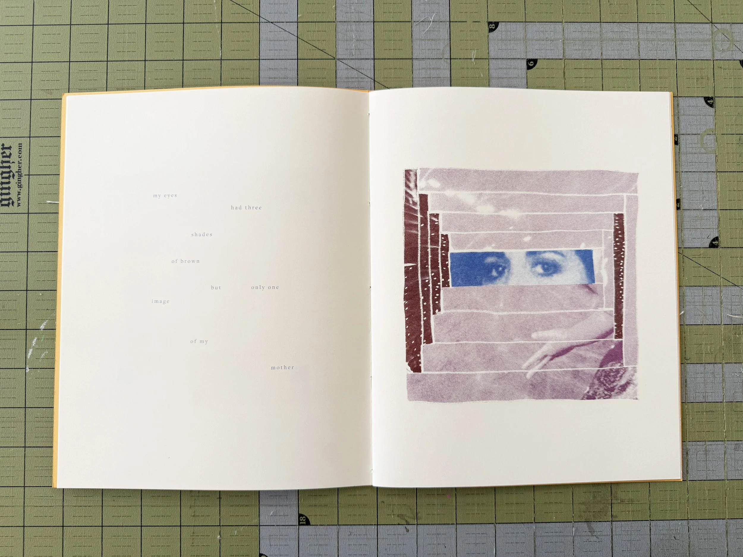 dgsg.book04.jpg