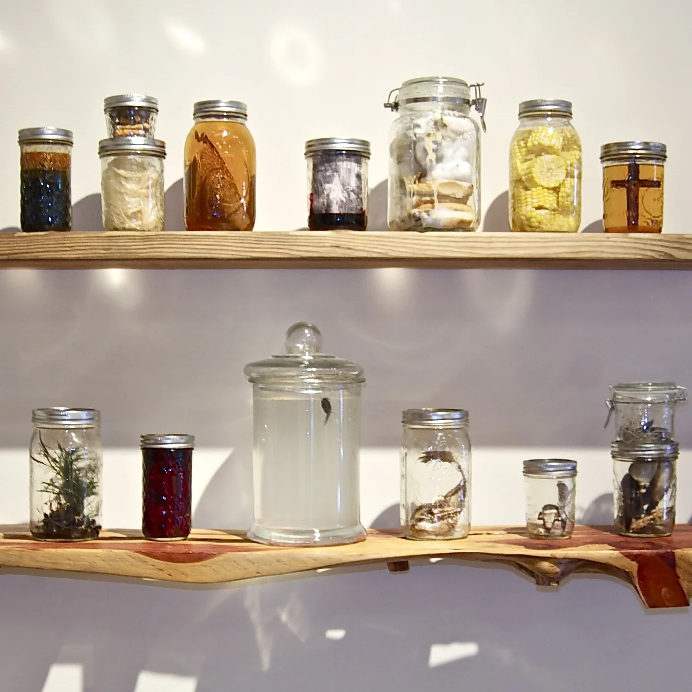 preserved01.jpg