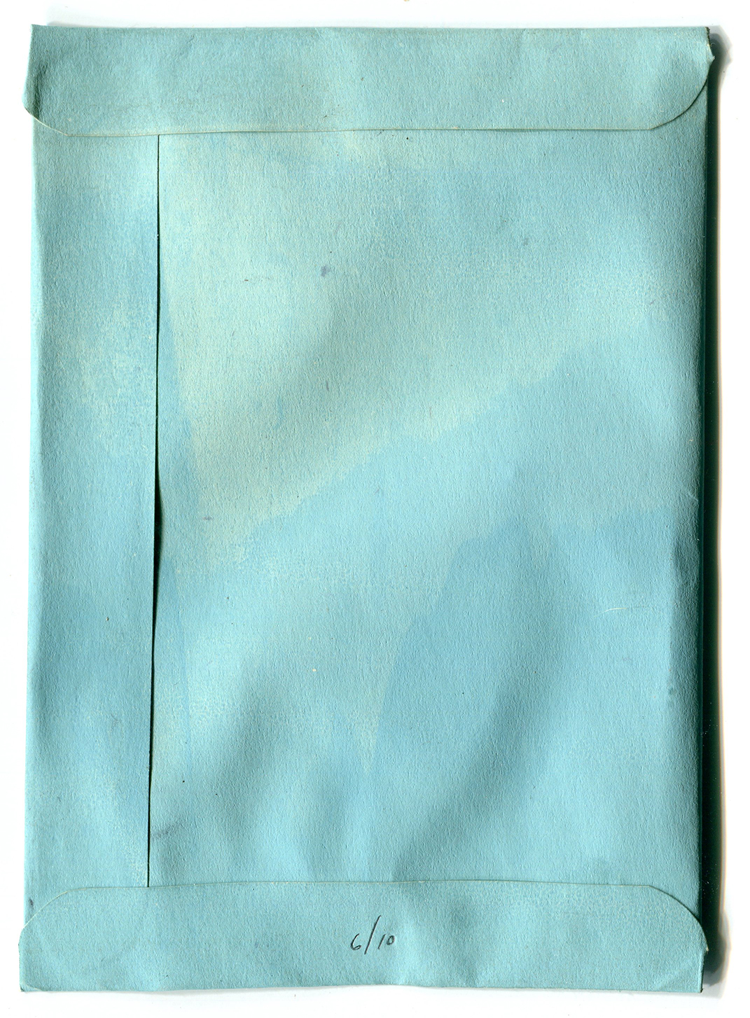 Seedlings2.jpg